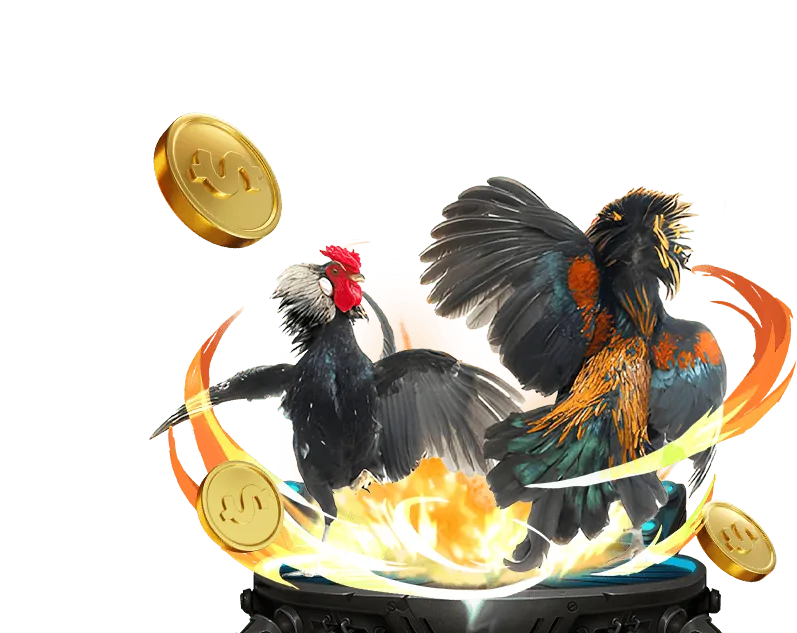 Tổng quan về đá gà trực tuyến OK365