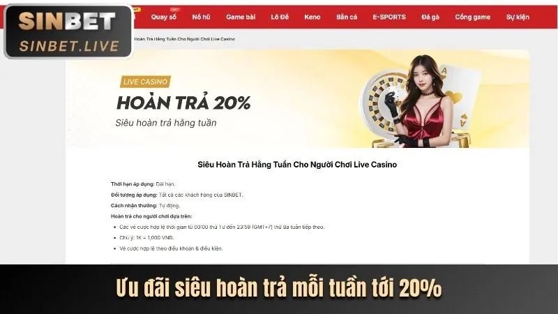 Hoàn trả OK365 Link